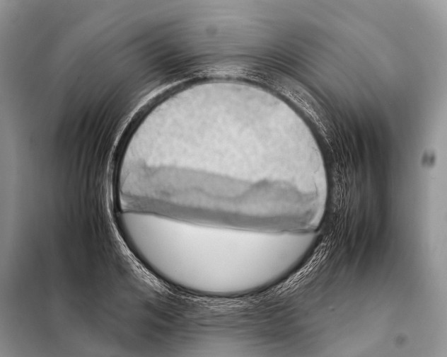 X0000098100984200805021105