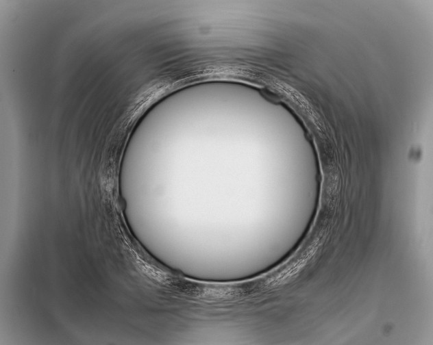 X0000098100985200805021105