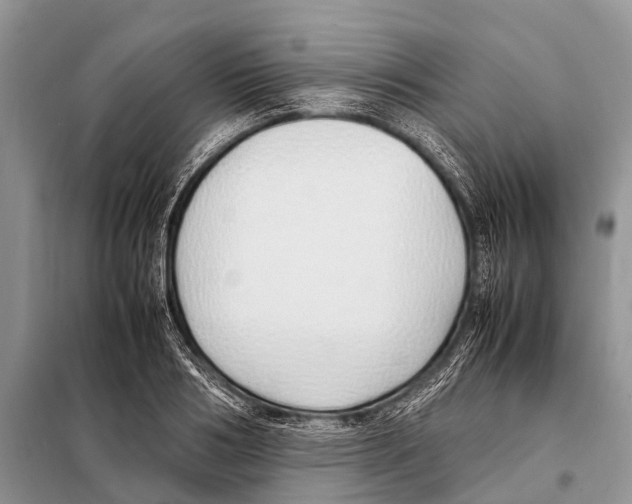 X0000098100986200805021105