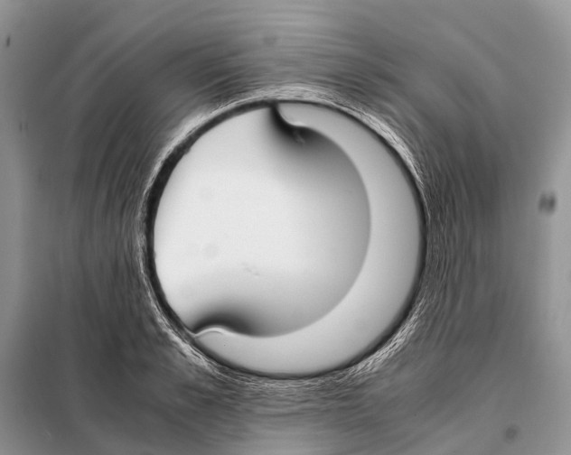 X0000098100989200805021105