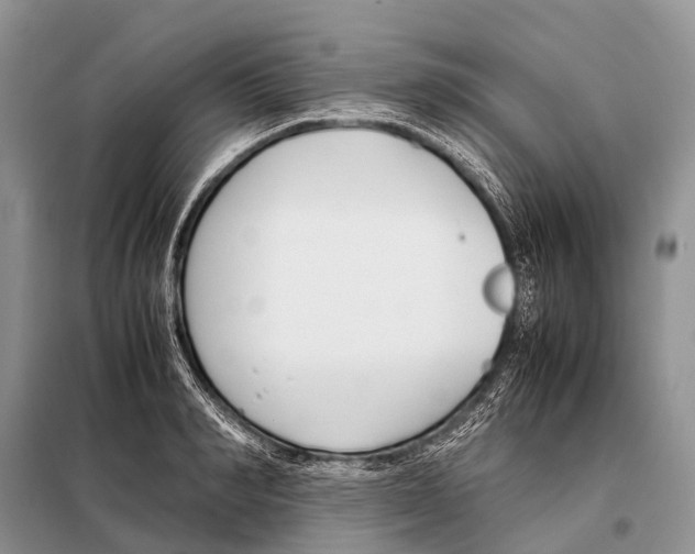 X0000098100990200805021105