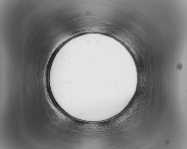 X0000098100991200805021105
