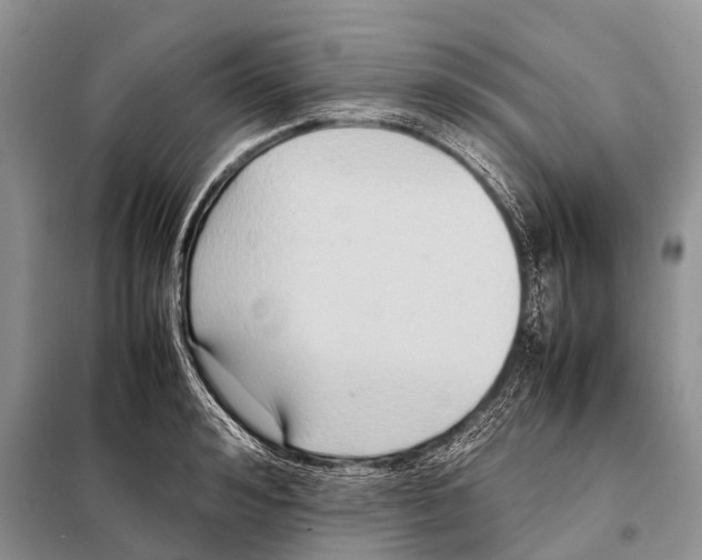 X0000098100992200805021105