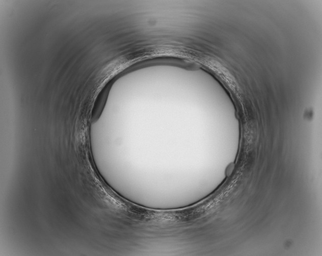 X0000098100993200805021105