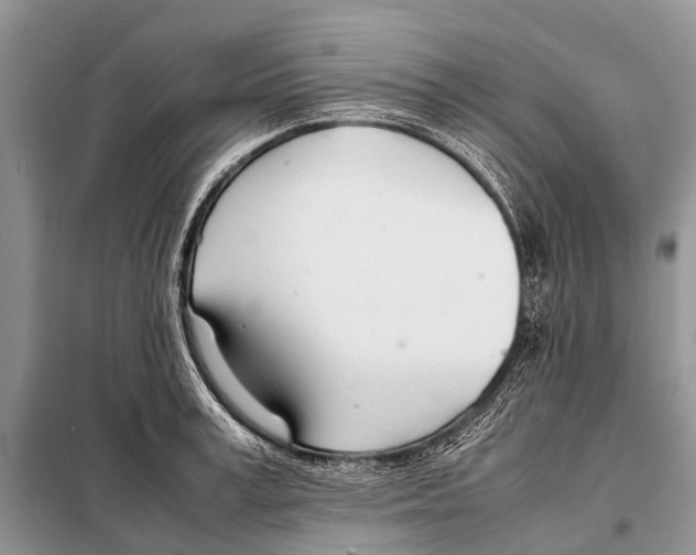 X0000098100995200805021105