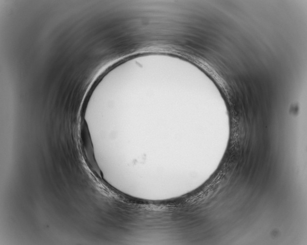 X0000098100996200805021105