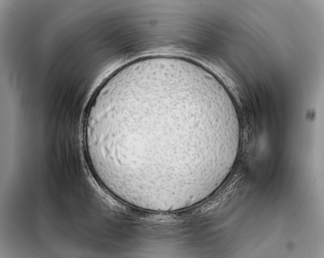 X0000098100998200805021105