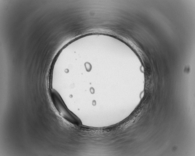 X0000098100999200805021105