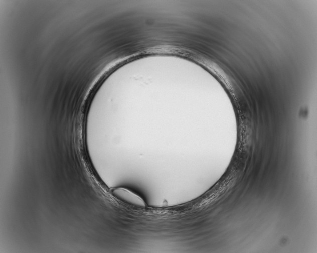 X0000098101000200805021105