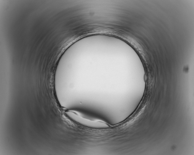 X0000098101001200805021105