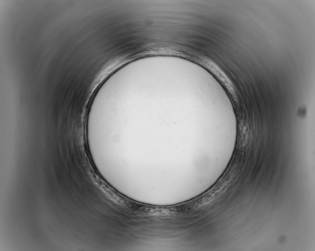 X0000098101002200805021105