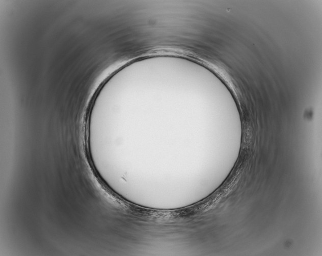 X0000098101003200805021105