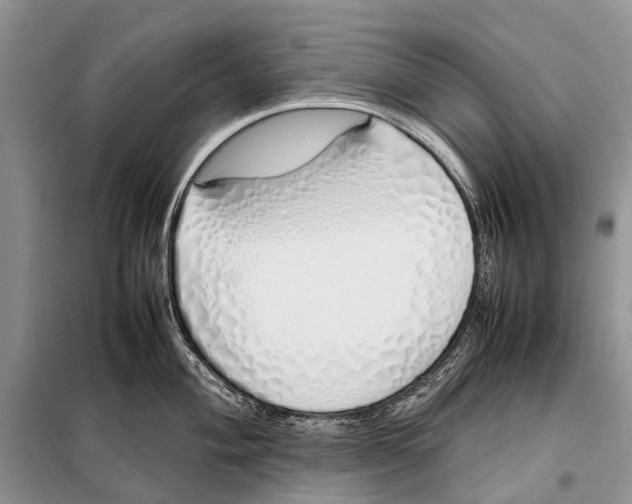 X0000098101004200805021105