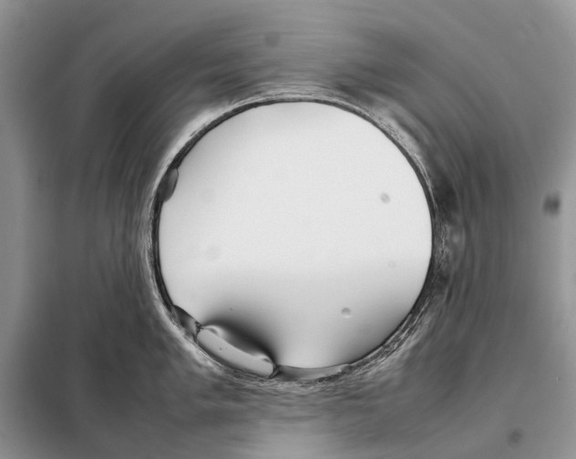 X0000098101005200805021105