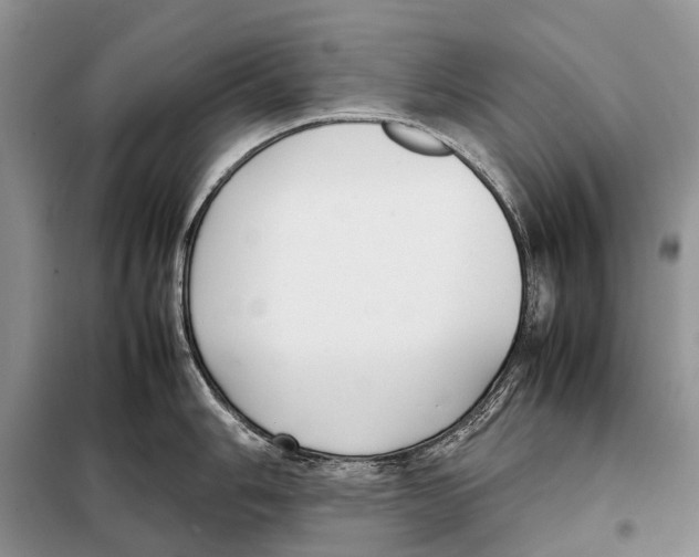 X0000098101006200805021105