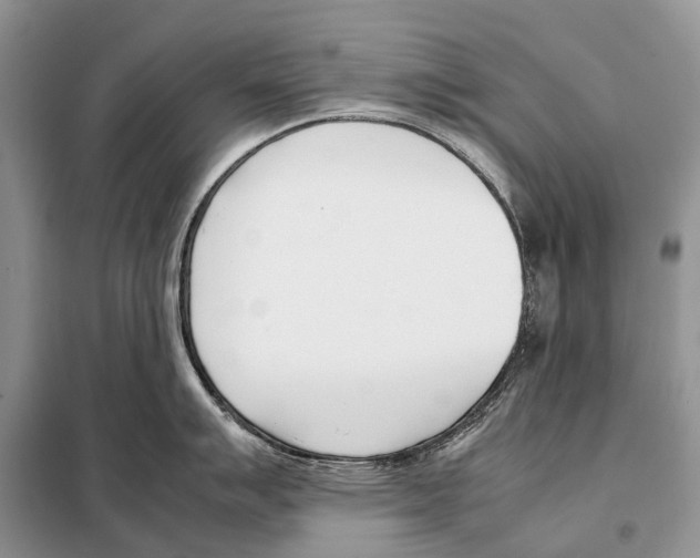 X0000098101007200805021105