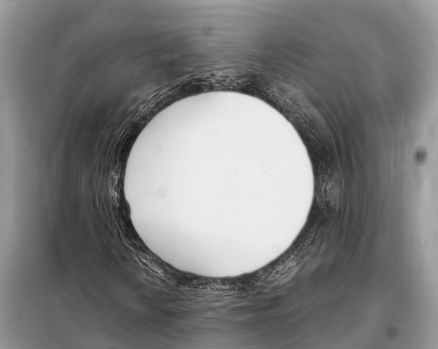 X0000098101010200805021104