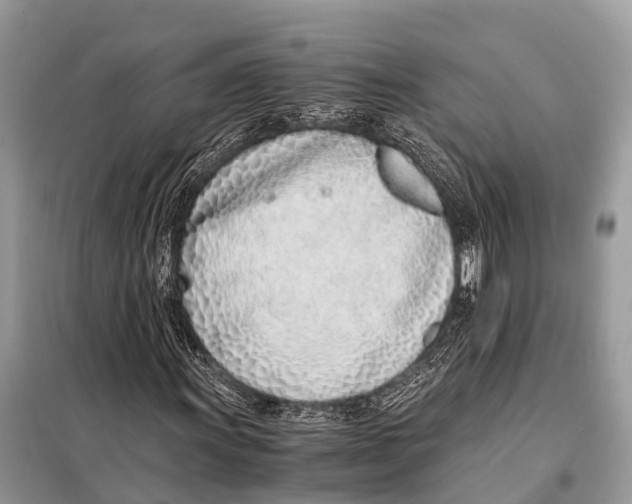 X0000098101011200805021104