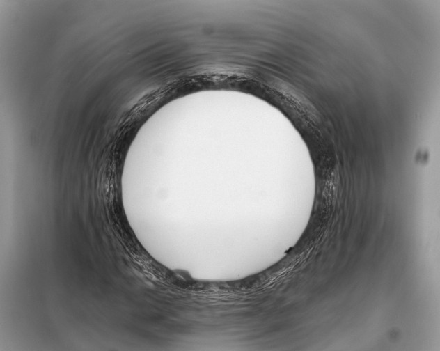 X0000098101014200805021104