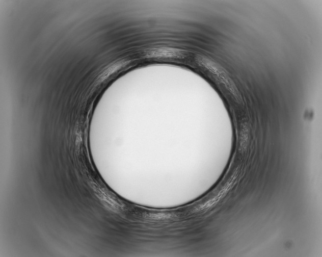 X0000098101017200805021104