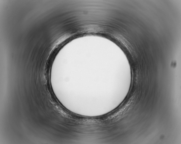 X0000098101018200805021104