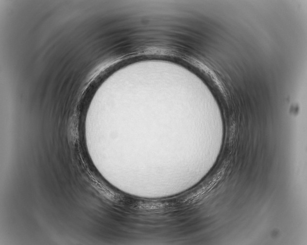 X0000098101019200805021104