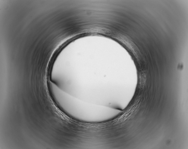 X0000098101020200805021104