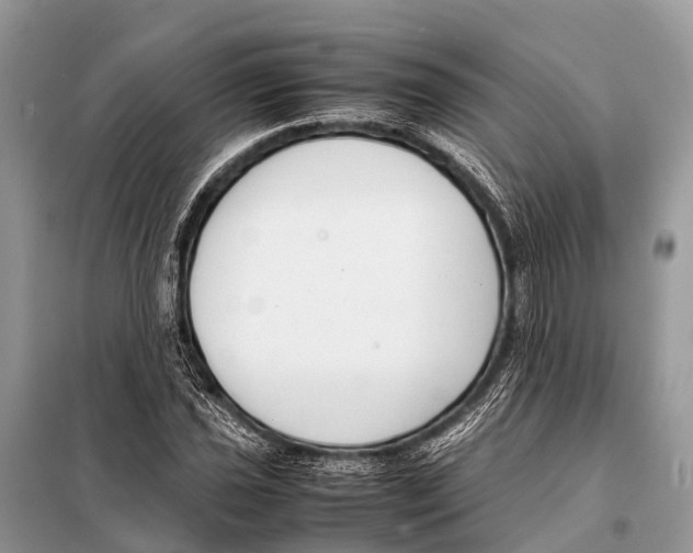 X0000098101021200805021104