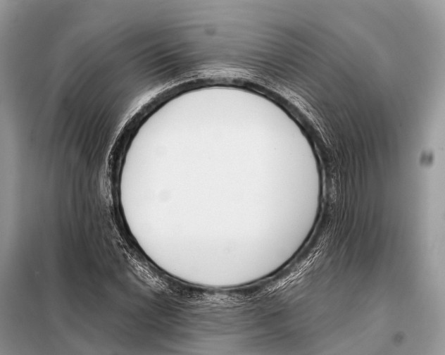 X0000098101022200805021104