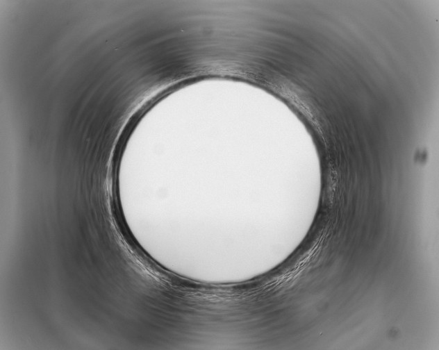 X0000098101028200805021105