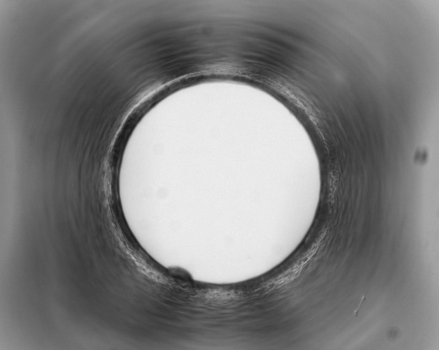 X0000098101029200805021105