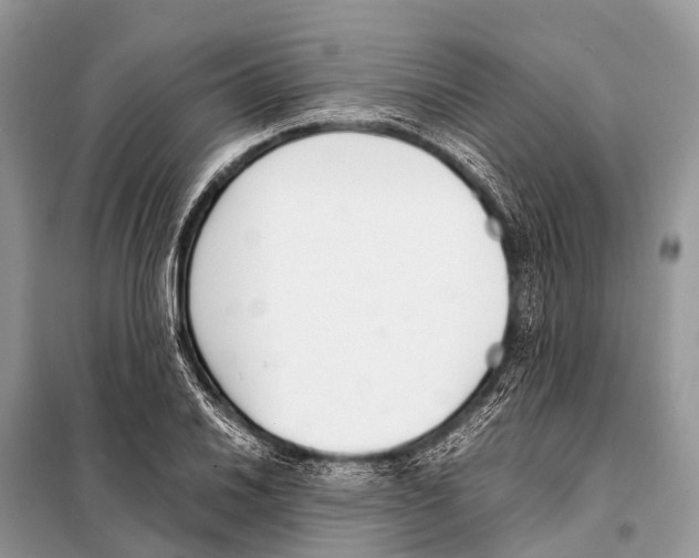 X0000098101030200805021105