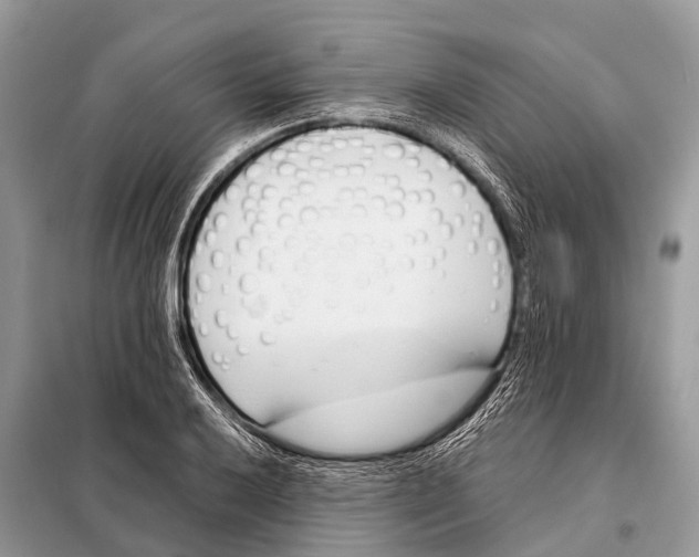 X0000098101032200805021105
