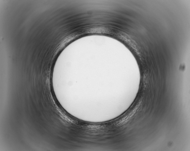 X0000098101033200805021105