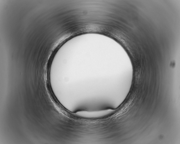 X0000098101034200805021105
