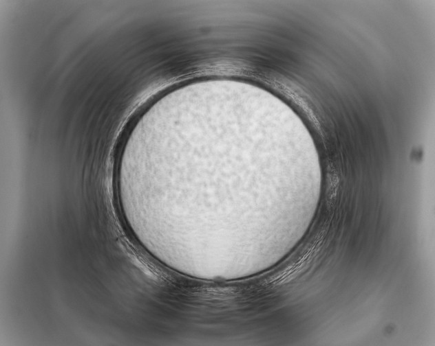 X0000098101035200805021105