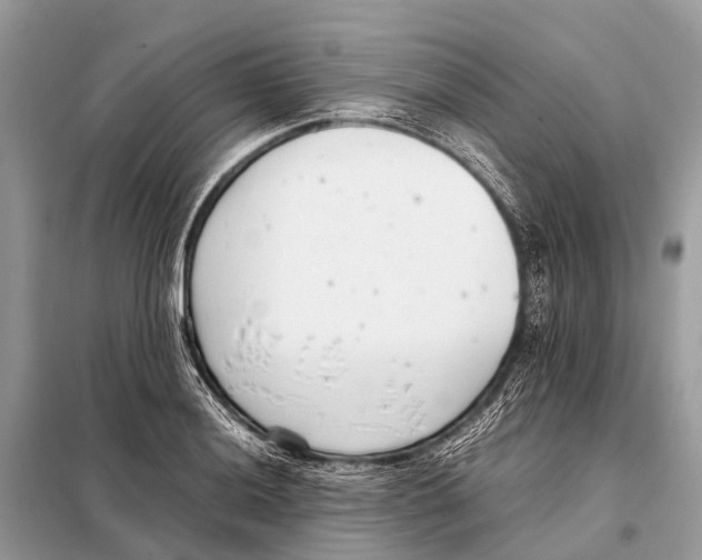 X0000098101036200805021105