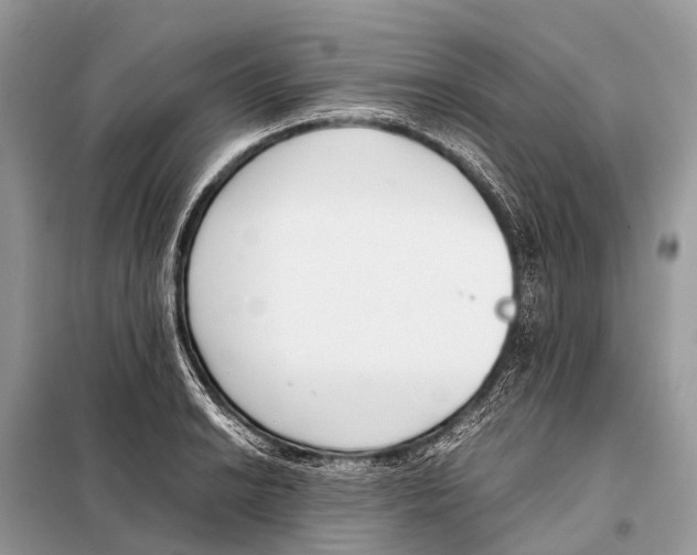 X0000098101038200805021105