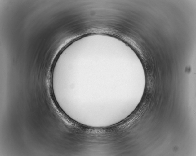 X0000098101040200805021105