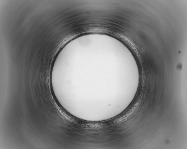X0000098101041200805021105