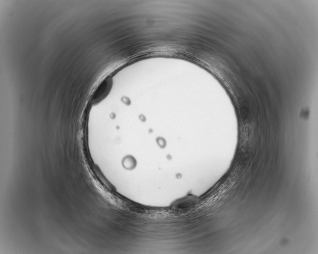 X0000098101042200805021105