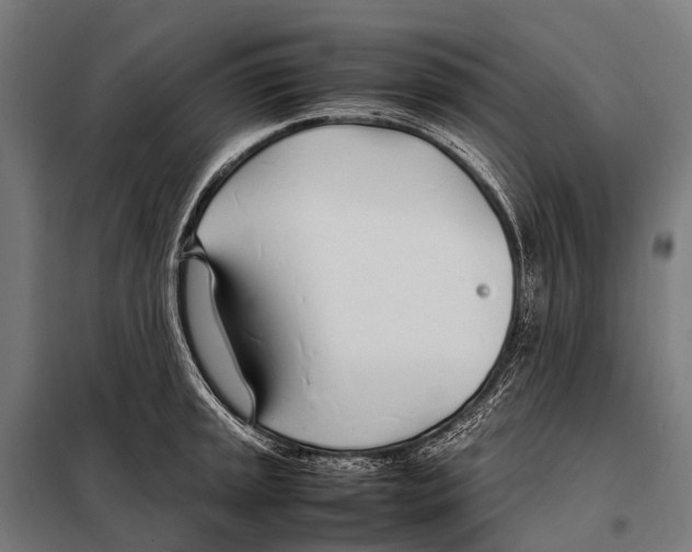 X0000098101045200805021105