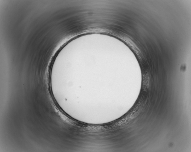 X0000098101046200805021105