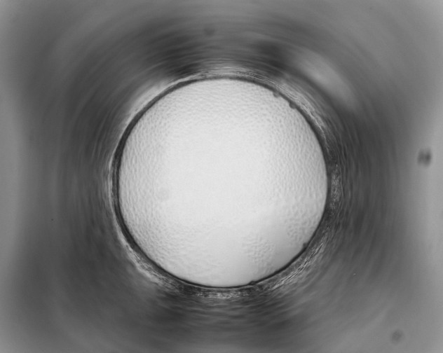 X0000098101047200805021105