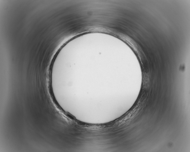 X0000098101048200805021105
