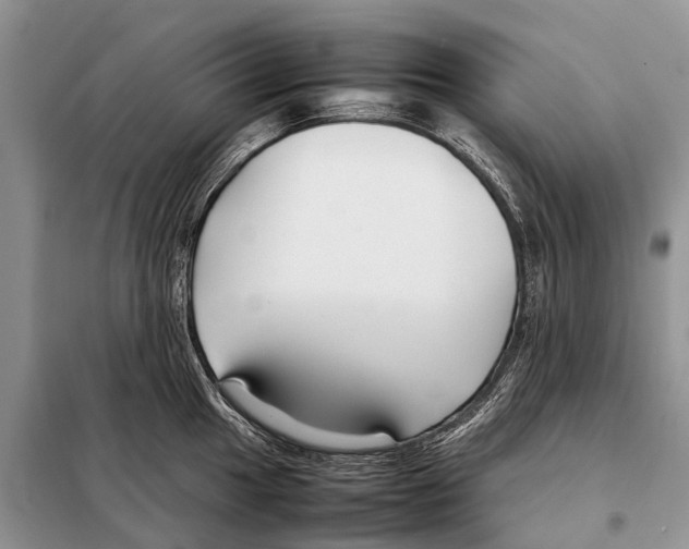 X0000098101049200805021105