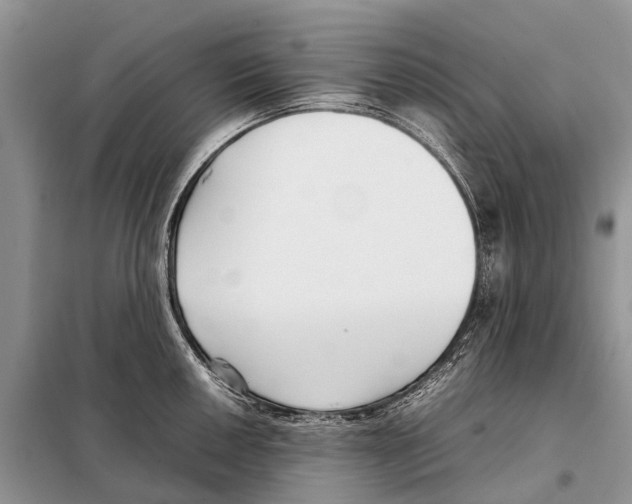 X0000098101050200805021105