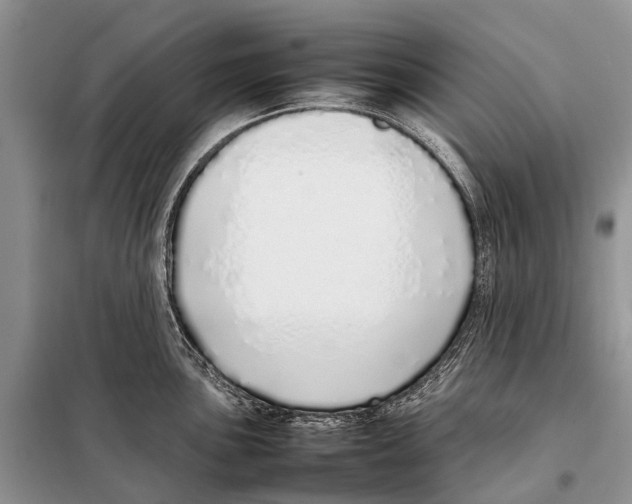 X0000098101051200805021105