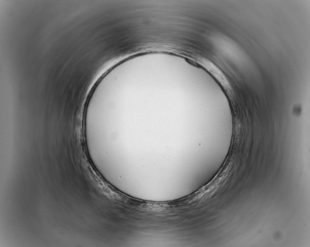 X0000098101052200805021105