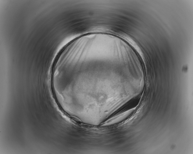 X0000098101053200805021105